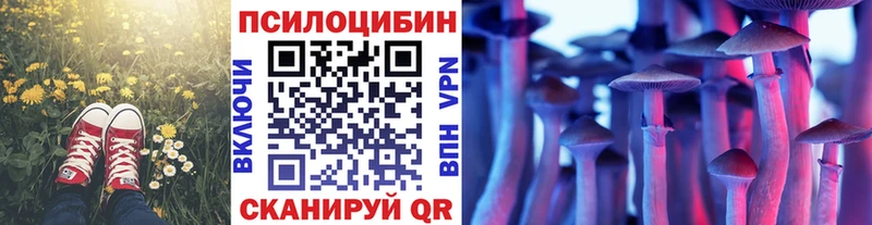 Псилоцибиновые грибы GOLDEN TEACHER  Ярославль 